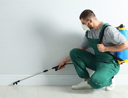 Pest Control  Warrandyte Services