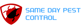samedaypestcontrolwarrandyte.com.au